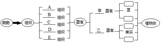 菁優(yōu)網(wǎng)