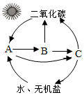 菁優(yōu)網(wǎng)