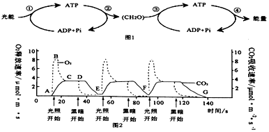 菁優(yōu)網(wǎng)