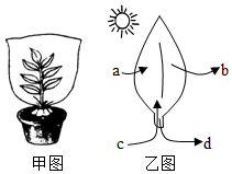 菁優(yōu)網(wǎng)