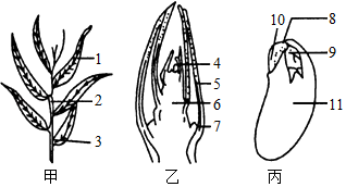 菁優(yōu)網(wǎng)