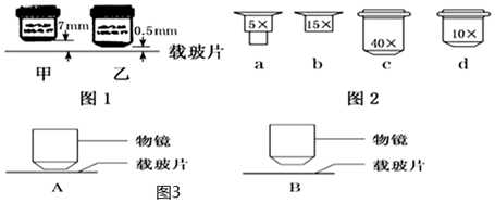 菁優(yōu)網