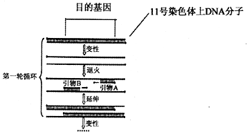 菁優(yōu)網