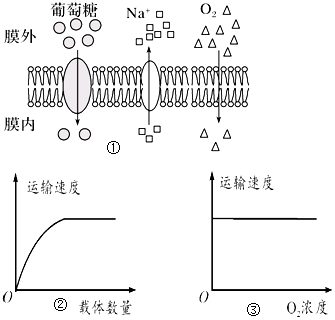 菁優(yōu)網