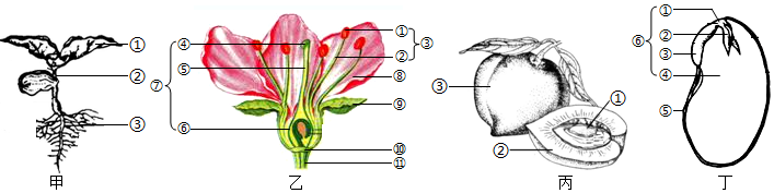 菁優(yōu)網(wǎng)