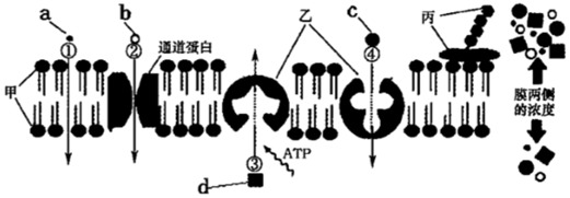 菁優(yōu)網(wǎng)