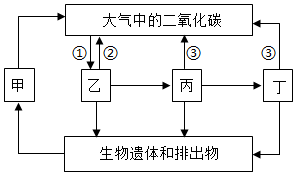 菁優(yōu)網(wǎng)