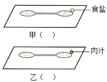 菁優(yōu)網(wǎng)