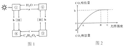 菁優(yōu)網(wǎng)