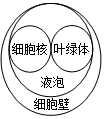 菁優(yōu)網