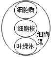 菁優(yōu)網(wǎng)