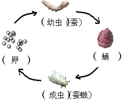 菁優(yōu)網