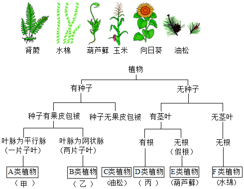 菁優(yōu)網(wǎng)