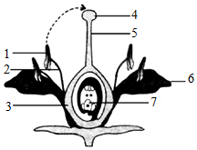 菁優(yōu)網(wǎng)