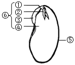 菁優(yōu)網