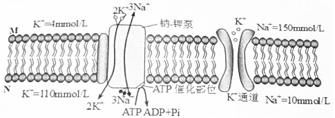 菁優(yōu)網(wǎng)