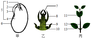 菁優(yōu)網(wǎng)