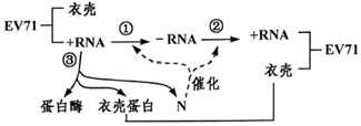 菁優(yōu)網