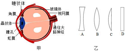 菁優(yōu)網(wǎng)