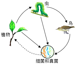 菁優(yōu)網(wǎng)