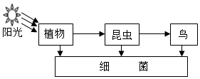 菁優(yōu)網