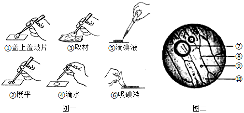 菁優(yōu)網(wǎng)