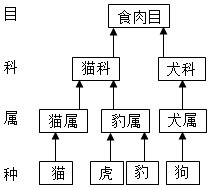 菁優(yōu)網