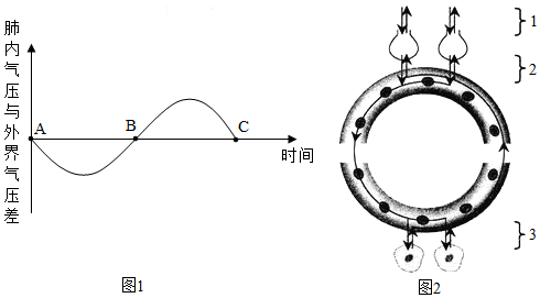 菁優(yōu)網(wǎng)