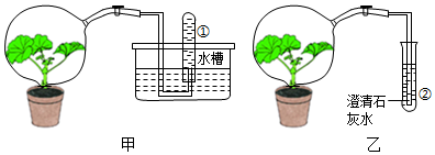 菁優(yōu)網(wǎng)