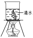 菁優(yōu)網(wǎng)