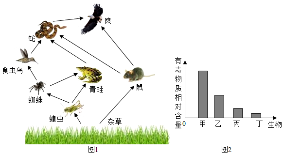 菁優(yōu)網