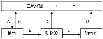 菁優(yōu)網(wǎng)