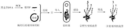 菁優(yōu)網(wǎng)