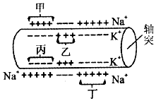 菁優(yōu)網(wǎng)