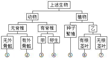 菁優(yōu)網