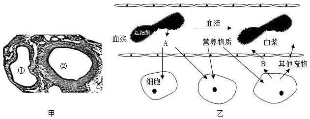 菁優(yōu)網(wǎng)