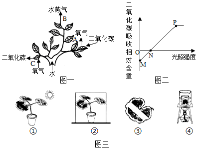 菁優(yōu)網(wǎng)