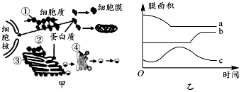 菁優(yōu)網(wǎng)