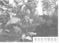 菁優(yōu)網