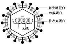 菁優(yōu)網