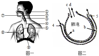 菁優(yōu)網(wǎng)