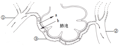 菁優(yōu)網(wǎng)