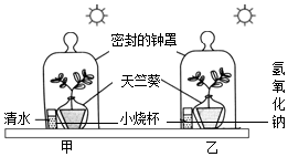 菁優(yōu)網(wǎng)