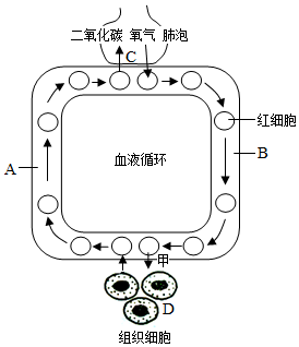 菁優(yōu)網(wǎng)