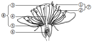 菁優(yōu)網