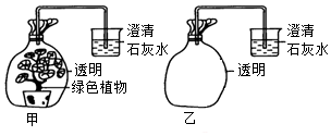 菁優(yōu)網(wǎng)