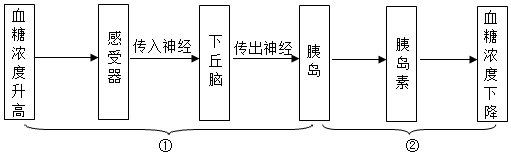 菁優(yōu)網