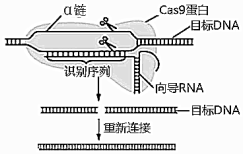 菁優(yōu)網