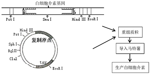 菁優(yōu)網