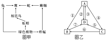 菁優(yōu)網(wǎng)